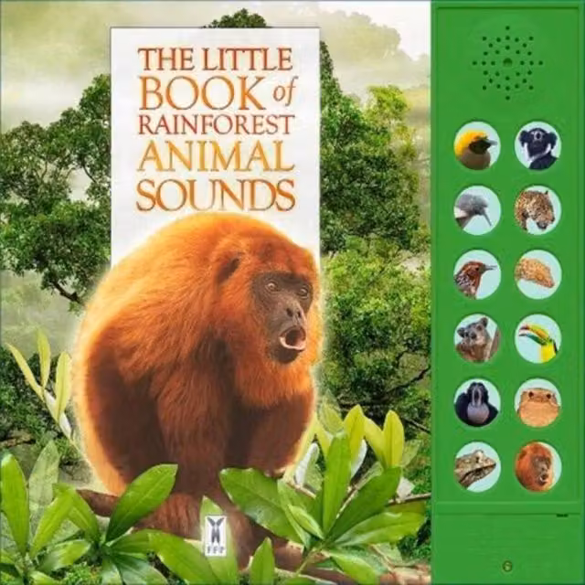 Andrea Pinnington Little Book of Rainforest Animal Sounds Multicolour Cardboard Board Book