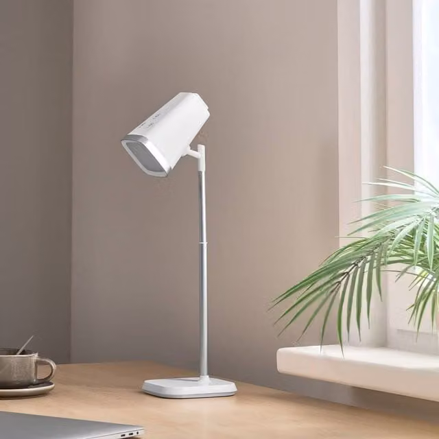 Wyld and Coco 2-in-1 White Desk and Wall Lamp with Detachable Head and Stepless Dimmer