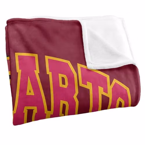 Warner Bros. Harry Potter Hogwarts Gryffindor Super Soft Fleece Throw Blanket, Multicolour, W: 127.0 cm x D: 152.4 cm – 2