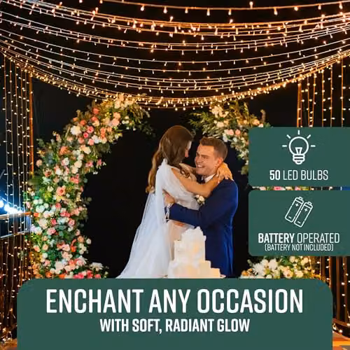 Globrite 50 LED Battery Operated Warm White Christmas Fairy String Lights with Remote Control and Timer – 2