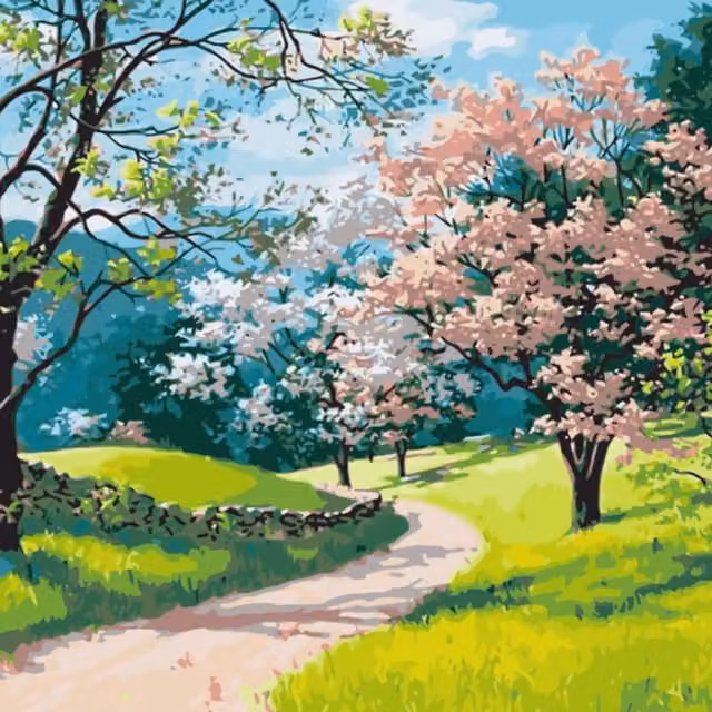 Syntego Cherry Blossom Trail Paint by Numbers, Multicolour and Yellow