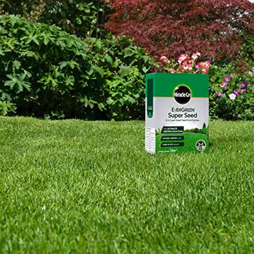 Miracle-Gro EverGreen Super Seed 3-in-1 Lawn Seed, Feed and Soil Enricher, 1 kg – 4