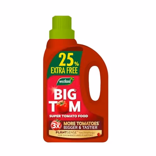 Westland Big Tom Tomato Plant Tonic Liquid 1 l – 2