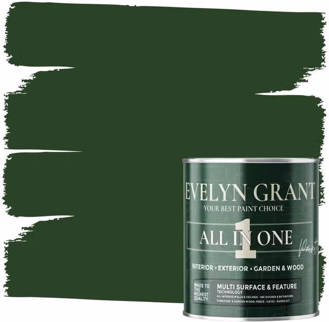 Evelyn Grant All-In-One Multi Surface Indoor and Outdoor Matt Dispersion Paint, Forest Green, 5 l – 1