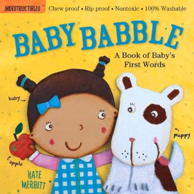 Indestructibles Baby Babble: A Book of Baby's First Words by Amy Pixton, Multicolour Paperback