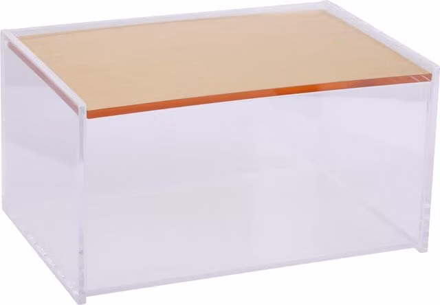 Orsina Small Transparent Acrylic Storage Box with Lid and Gold Details