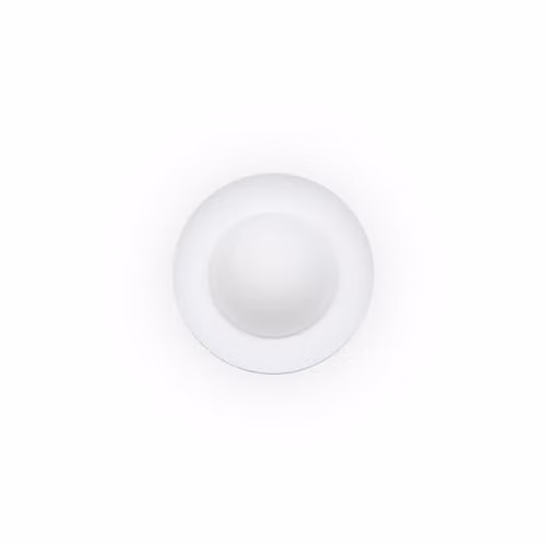 Netlighting White Round LED Flush Ceiling Lamp with G9 Bulb