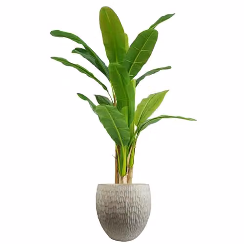 LeafUK Large Square Geometric Rustic Planter, W/D/H: 43 x 43 x 43 cm – 2