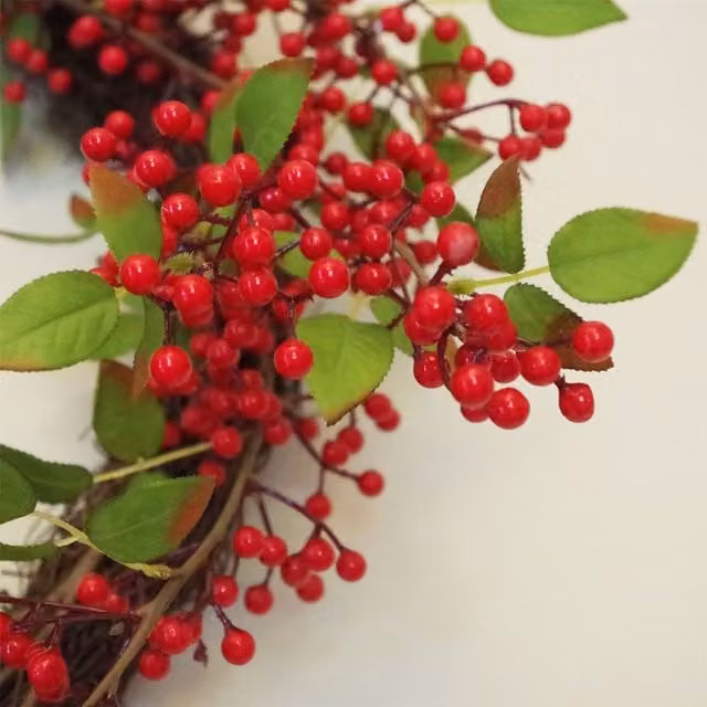 Botanik Luxury Red Berry Artificial Christmas Wreath, Diameter: 60 cm