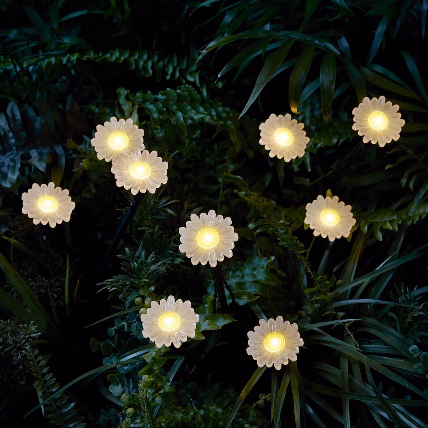 9 Daisy Flower Solar Stake Lights in White and Brown with Warm White LED
