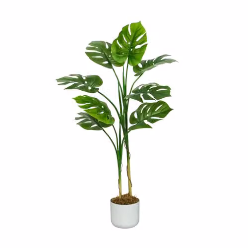 mcc direct Artificial Monstera Tree in Green with Plastic Planter and Moss, Height: 110 cm