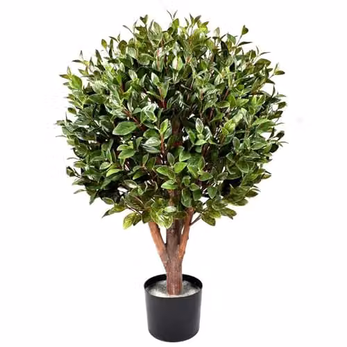 Botanik Realistic Artificial Potted Topiary Tree in Green and Black for Tabletop Display