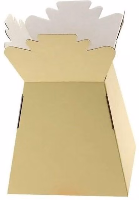 Kingsbury Gifts Flower Transporter Box Living Vase in Beige