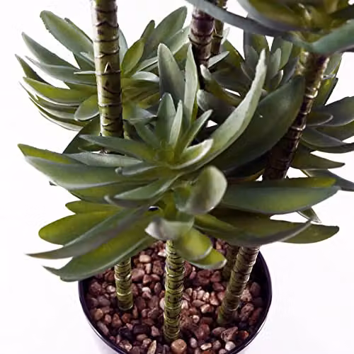 Leaf Design UK Artificial Tropical Yucca Plant in Black Planter, Green, Height: 60 cm – 2