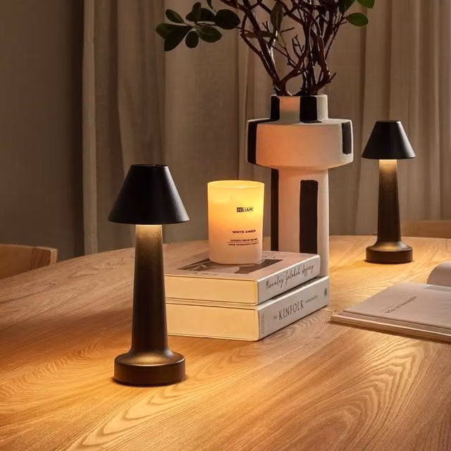 Wyld and Coco Set of 2 Black Minimalist Wireless Table Lamps with Dimmable Touch Control
