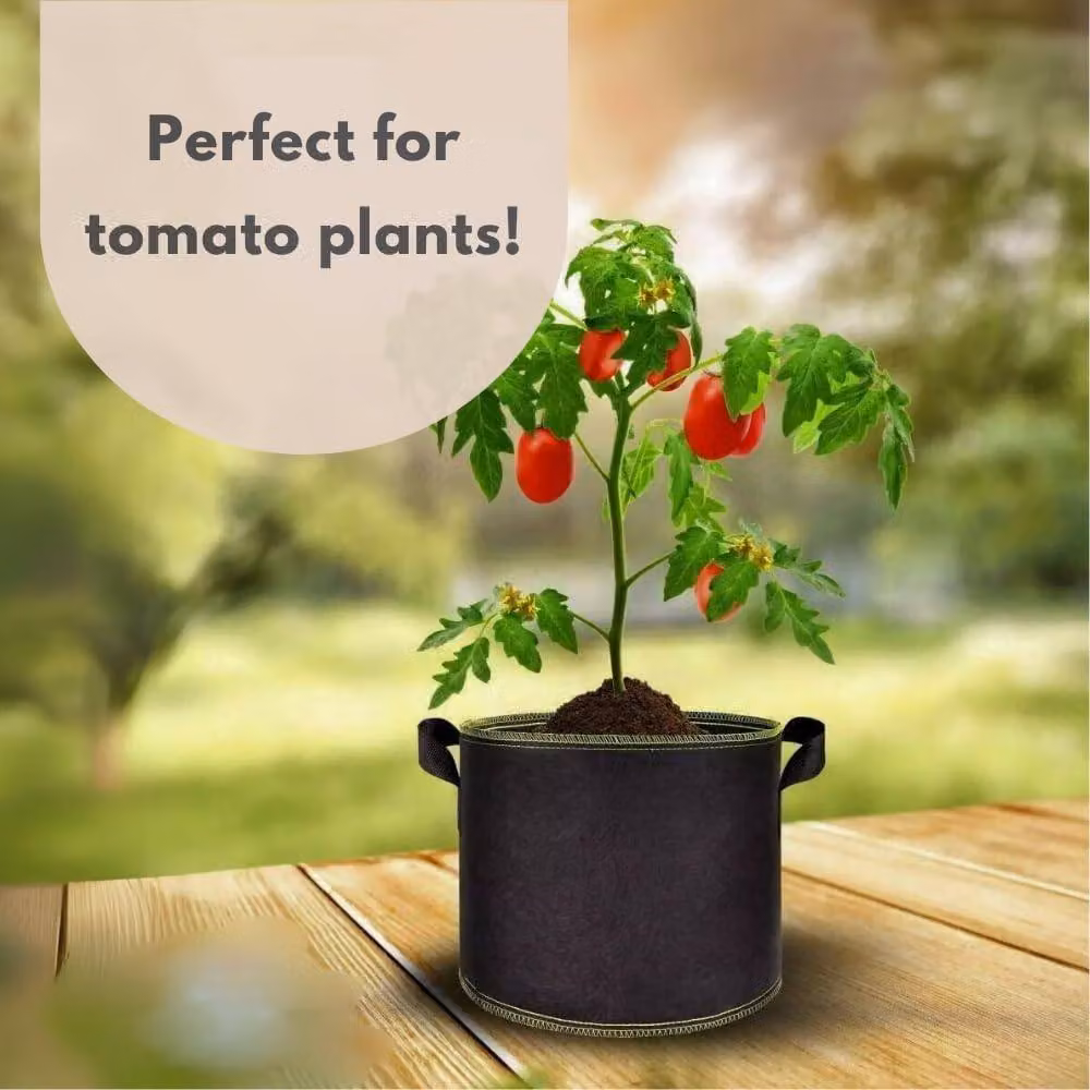 Marco Paul 2L Black Fabric Grow Bag Planter – 5