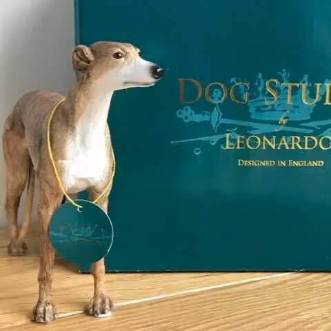 Leonardo Collection Brindle Greyhound Figurine in Brown, Green and Multicolour – 3