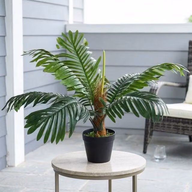 STILVORA Green Artificial Palm Tree in Nursery Pot, Height: 60 cm – 1