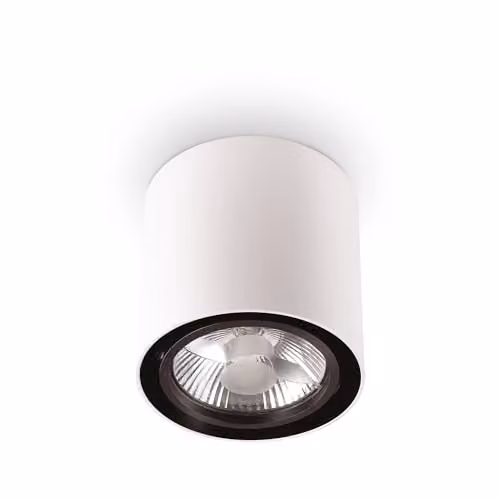 Netlighting Mood Large Round White Surface Mounted Downlight with Adjustable GU10 Spotlight