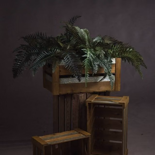 KDMK Fern Bunch Natural Greenery in Green