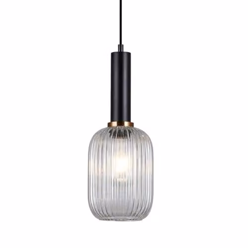 Netlighting Modern Black Hanging Pendant Light with Transparent Glass Shade, E27