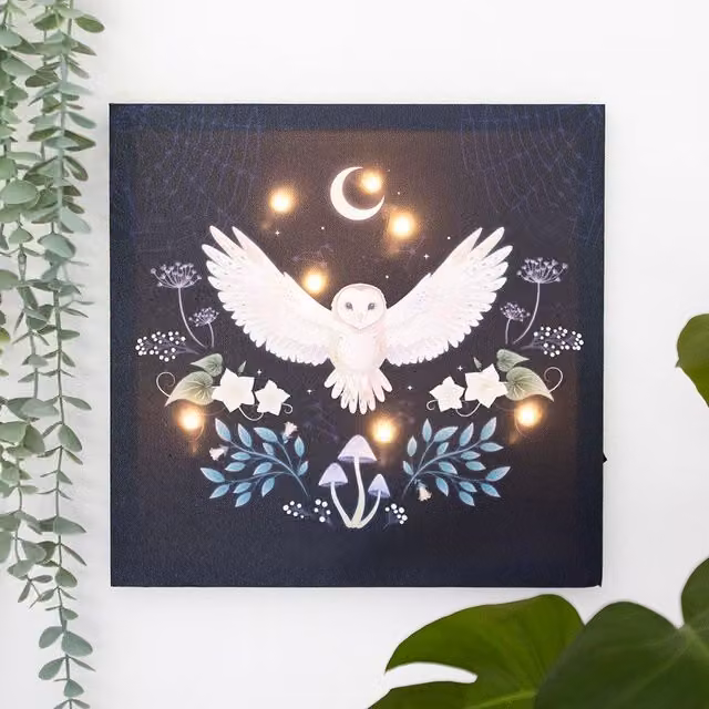 Something Different Night Owl Light Up Canvas Plaque in Multicolour and Brown, W/D/H: 30 x 30 x 30 cm – 3