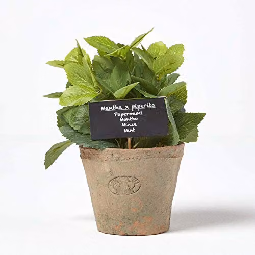 Homescapes Artificial Mint Plant in a Green Ceramic Terracotta Pot