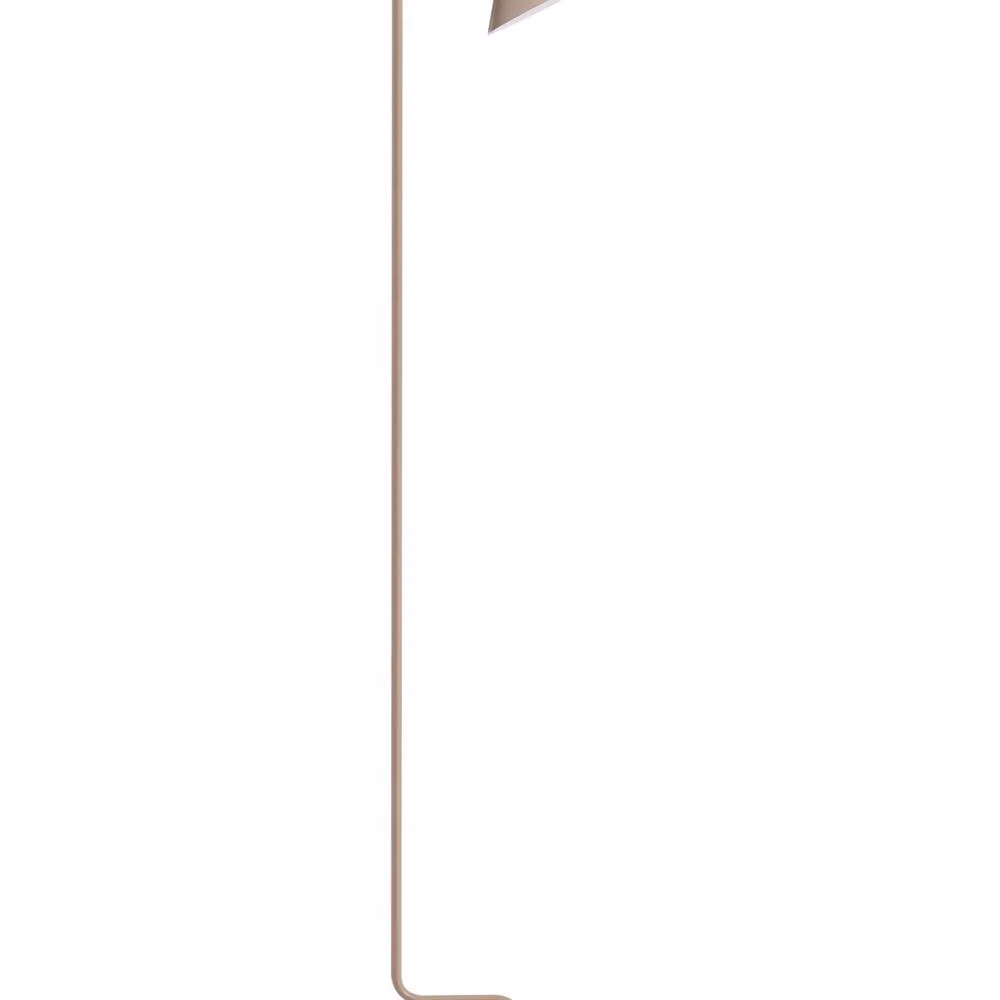 Wyld and Coco Beige Metal Floor Lamp with Adjustable Cone Shade, Height: 154 cm – 2