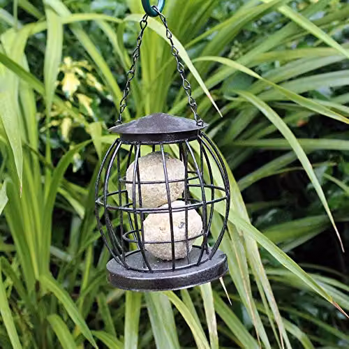 Natures Market BF043 Squirrel Resistant Suet Ball Feeder in Bronze and Black Metal – 2
