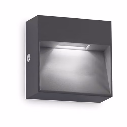 Netlighting Dedra Square Flush LED Outdoor Wall Lamp in Anthracite Black, 160Lm, 3000K, IP65 – 1