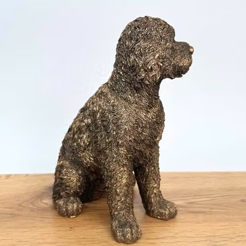 Leonardo Reflections Bronzed Animal Crackers Cockapoo Figurine in Bronze with Gold Gift Box, Height: 17 cm – 3