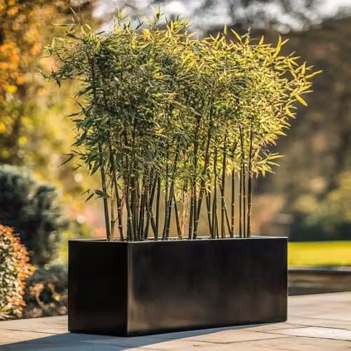 Access Garden Products Galvanised Steel Trough Planter in Black, W: 75 cm, D: 32 cm, H: 32 cm – 2