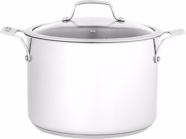 Stellar 6L Uncoated Stainless Steel Stockpot with Glass Lid, Metallic Silver, Diameter: 24 cm – 1