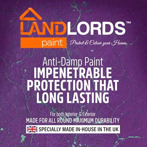 Landlords Paint Anti-Damp and Mould Resistant Matt Paint, White, 1 l – 2