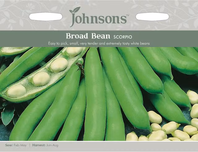 Johnsons Scorpio Broad Bean Vegetable Seeds, White and Green