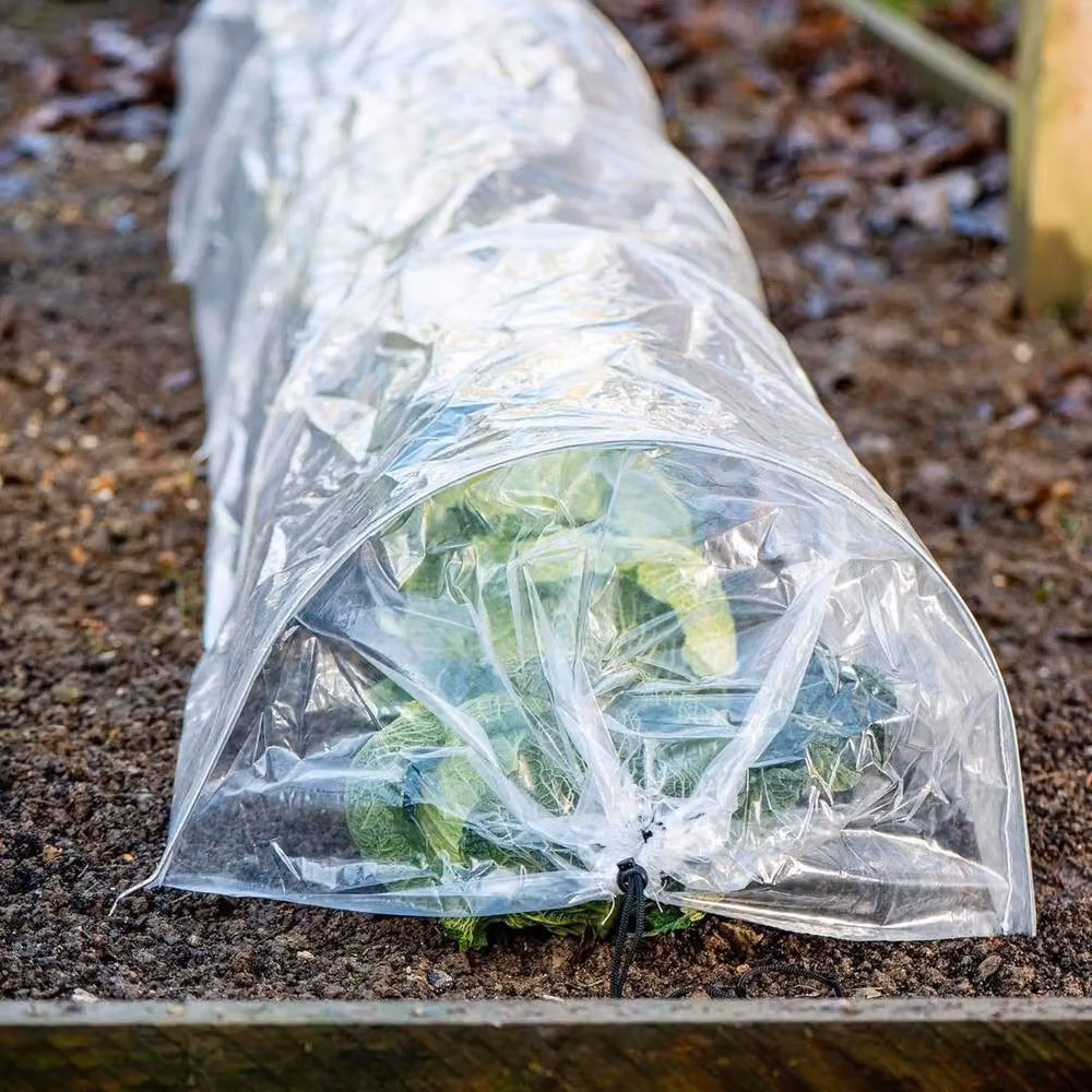 FLAVORA 5pc PE Greenhouse Tunnel Grow Cover Polytunnel in Clear, W: 100 cm, H: 15 cm, D: 15 cm – 2