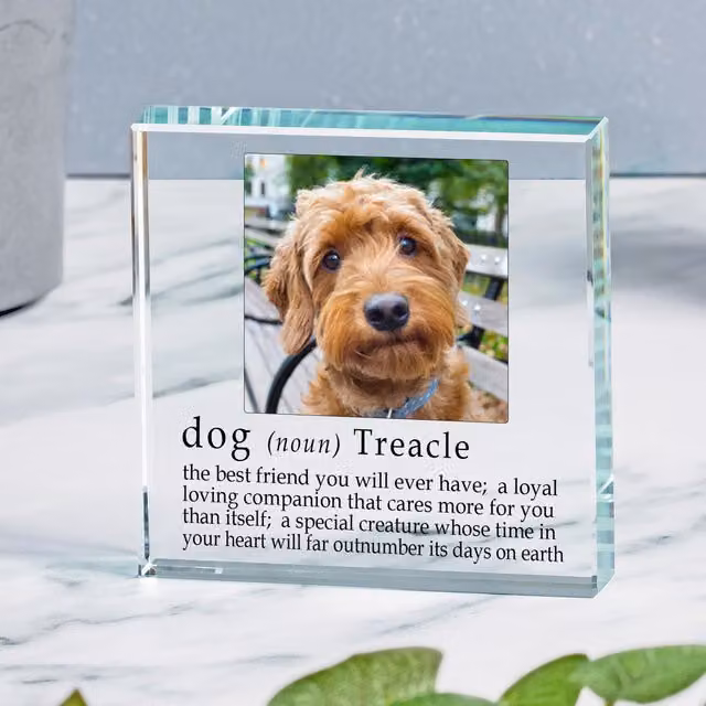 Uniqueful Personalised Definition of a Dog Glass Token in Transparent and Multicolour