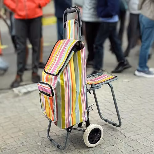 Lifemax Multicolour Leisure Shopping Trolley with Seat, Lightweight and Foldable, W/D/H: 55.0 x 28.0 x 28.0 cm – 2