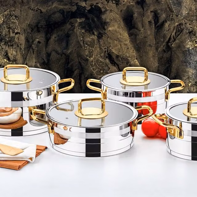 Evimsaray Safir Series 8-Piece Stainless Steel Cookware Set with Glass Lids and Gold Handles in Silver