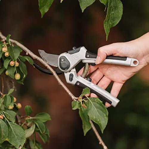 Kent & Stowe Eversharp Lite All Purpose Bypass Secateurs with Carbon Steel Blades and Aluminium Handles in Grey and Silver – 4