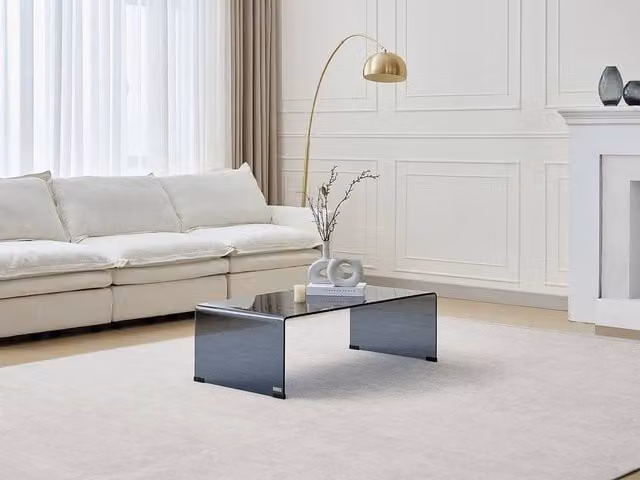 Vente-unique ALONZO Curved Smoked Tempered Glass Coffee Table in Black and Transparent – 1