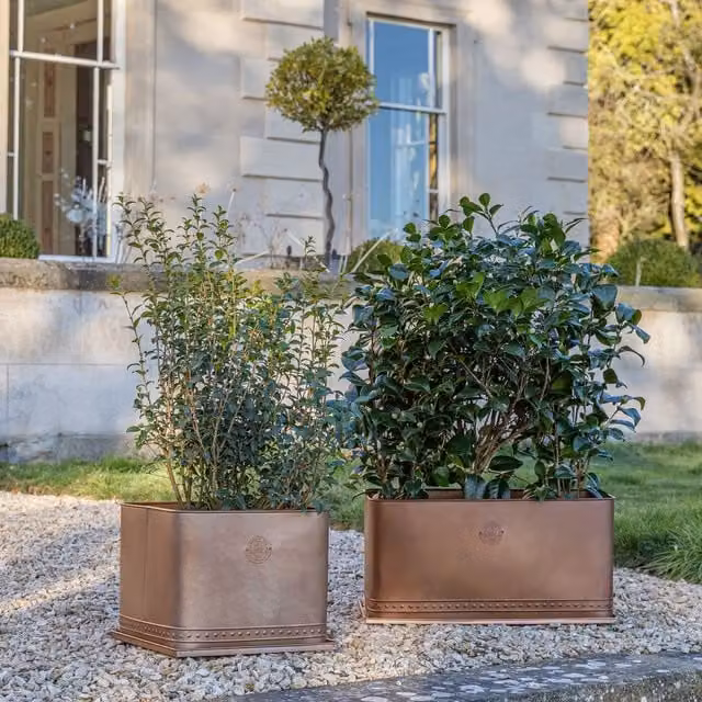 Royal Botanic Gardens Kew Regency Outdoor Planter, Aged Copper Bronze Galvanised Steel, Diameter: 38 cm