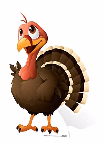 Star Cutouts Ltd SC990 Turkey Cardboard Standee, Multicolour, Height: 60 cm
