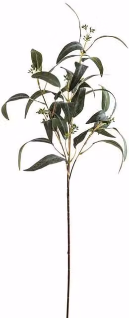 Lemon Pavilion Seeded Eucalyptus Artificial Plant Spray, Green, W: 10 cm, D: 10 cm, H: 86 cm