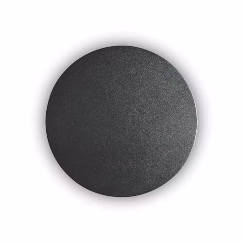 Netlighting Minimalist Round LED Wall Light in Black