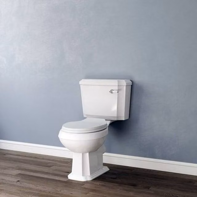 FLAVORA Traditional Style Close Coupled Ceramic Bathroom Toilet in White W/D/H: 100 x 52 x 52 cm