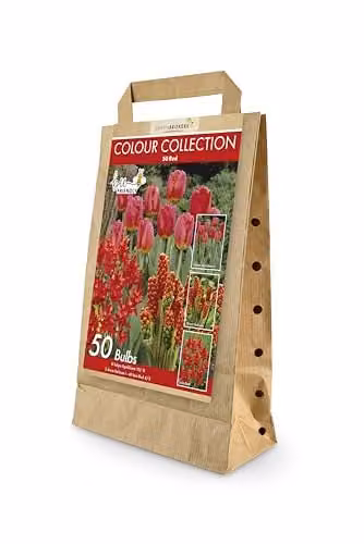 GreenBrokers Colour Collection Red Spring Flower Bulbs, 50 g