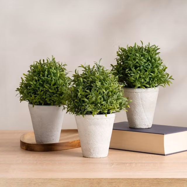 Scottish Everlastings Ltd Set of 3 Green Topiary Plants in Round Concrete Pots