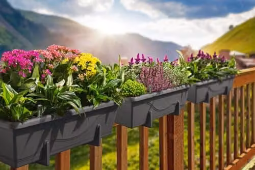 Gardenico Set of 3 Self-watering Anthracite Planters and Flower Pots, W: 39 cm, D: 21 cm, H: 17 cm