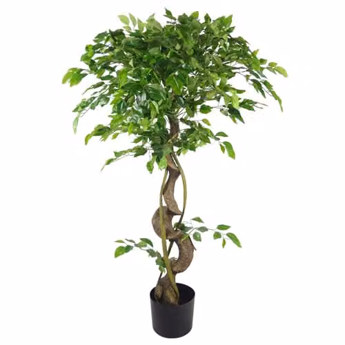 Botanik 120cm Artificial Japanese Fruticosa Style Ficus Tree in Green – 1